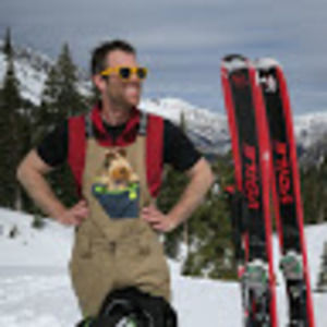 Meet your Posher, Max